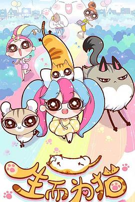 seo和美工哪个工资高